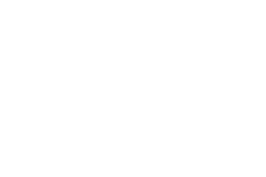 Universal assistance