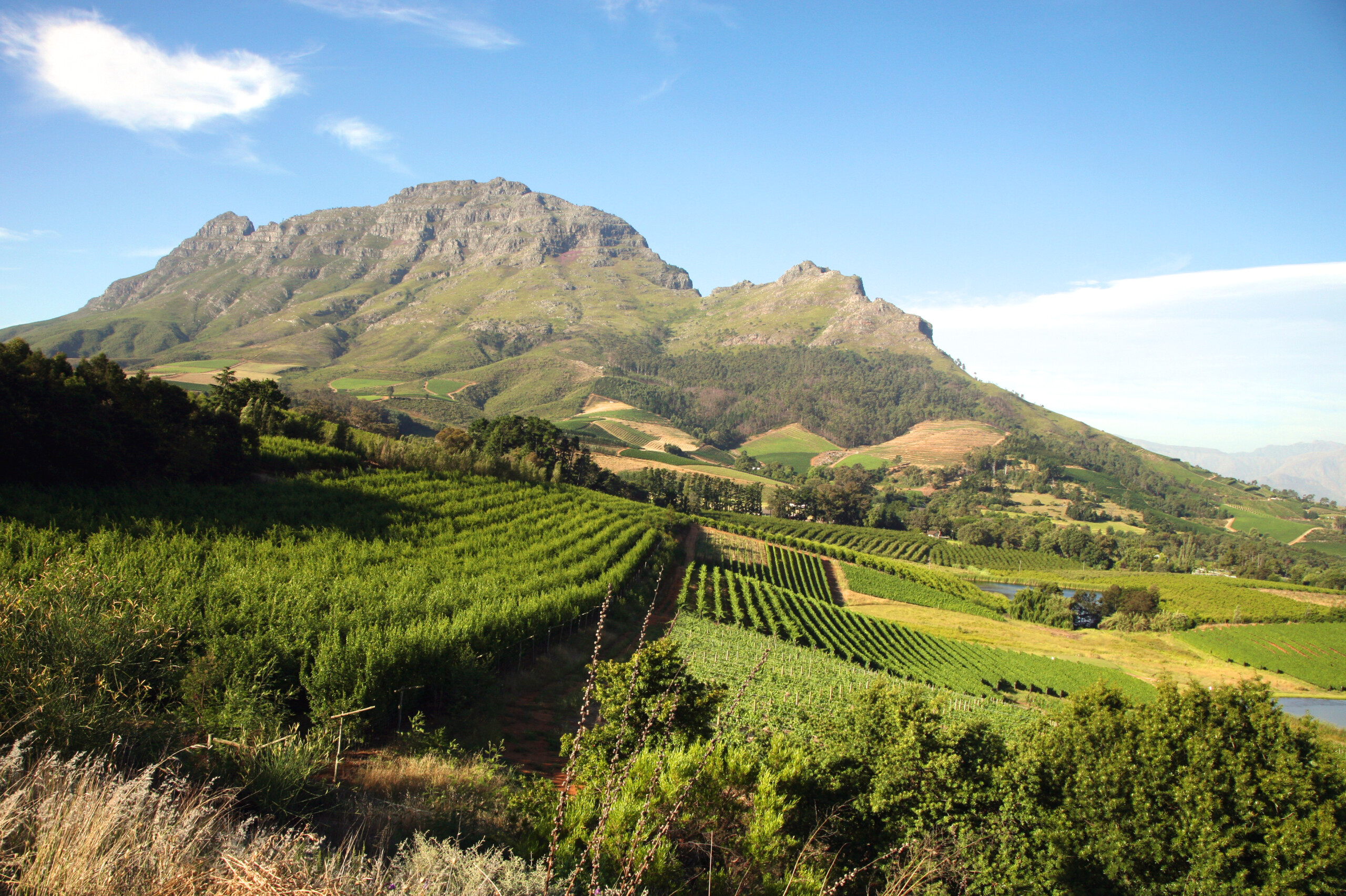 Franschhoek capetown